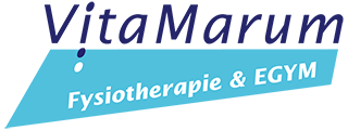 Fysiotherapie VitaMarum logo